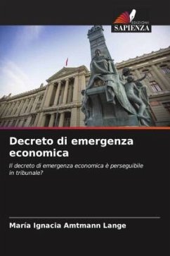 Decreto di emergenza economica - Amtmann Lange, María Ignacia