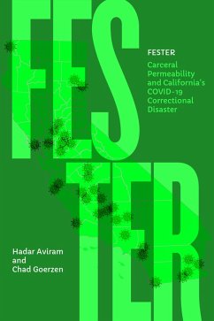 Fester (eBook, ePUB) - Aviram, Hadar