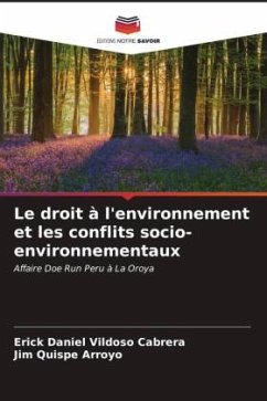 Le droit à l'environnement et les conflits socio-environnementaux - Vildoso Cabrera, Erick Daniel;Quispe Arroyo, Jim