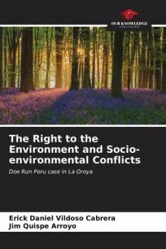 The Right to the Environment and Socio-environmental Conflicts - Vildoso Cabrera, Erick Daniel;Quispe Arroyo, Jim