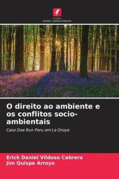 O direito ao ambiente e os conflitos socio-ambientais - Vildoso Cabrera, Erick Daniel;Quispe Arroyo, Jim