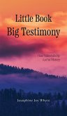 Little Book, Big Testimony