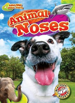 Cover Animal Noses