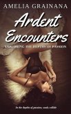 Ardent Encounters - Exploring the Depths of Passion (eBook, ePUB)