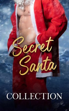 Cover Secret Santa (eBook, ePUB)