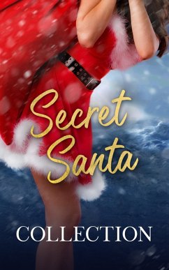 Cover Secret Santa (eBook, ePUB)