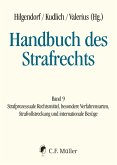 Handbuch des Strafrechts (eBook, ePUB)