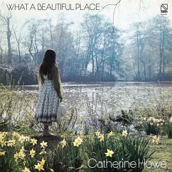 What A Beautiful Place (Yellow Vinyl) - Howe,Catherine