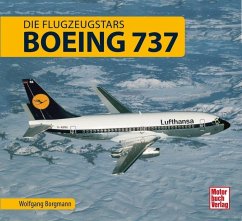 Boeing 737 (Restauflage) - Borgmann, Wolfgang