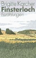 Finsterloch (eBook, ePUB)