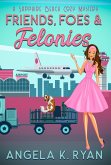 Friends, Foes and Felonies (Sapphire Beach Cozy Mystery Series, #9) (eBook, ePUB)