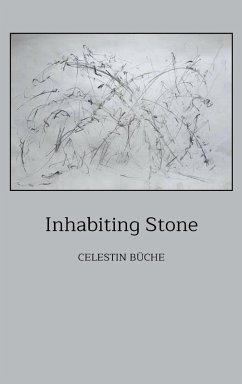 Inhabiting Stone - Buche, Celestin