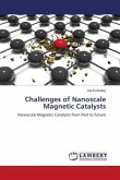 Challenges of Nanoscale Magnetic Catalysts