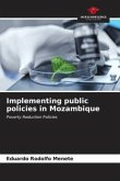 Implementing public policies in Mozambique