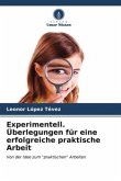 Experimentell. Überlegungen für eine erfolgreiche praktische Arbeit