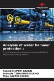Analysis of water hammer protection :