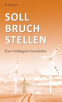 Cover Sollbruchstellen (eBook, ePUB)
