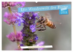 Die Wunderwelt der Biene (Wandkalender 2024 DIN A2 quer), CALVENDO Monatskalender