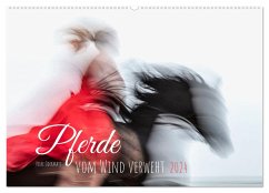 Pferde vom Wind verweht (Wandkalender 2024 DIN A2 quer), CALVENDO Monatskalender