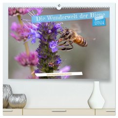 Die Wunderwelt der Biene (hochwertiger Premium Wandkalender 2024 DIN A2 quer), Kunstdruck in Hochglanz