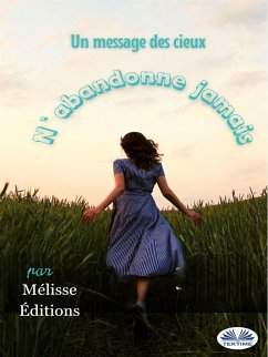 N'Abandonne Jamais (eBook, ePUB) Cover N'Abandonne Jamais (eBook, ePUB)