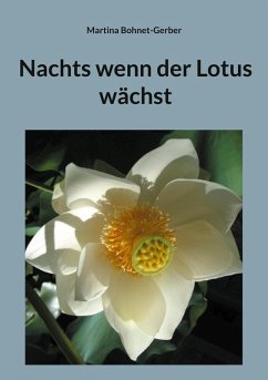 Nachts wenn der Lotus wächst (eBook, ePUB)
