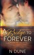 A Bridge to Forever - Bild 1