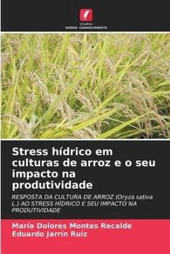 Stress hídrico em culturas de arroz e o seu impacto na produtividade - Montes Recalde, María Dolores;Jarrín Ruíz, Eduardo
