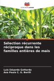 Sélection récurrente réciproque dans les familles entières de maïs