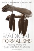 Radical Formalisms (eBook, ePUB)