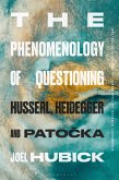 The Phenomenology of Questioning (eBook, PDF)