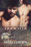 Trickster (eBook, ePUB)