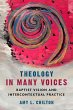 Theology in Many Voices (eBook, PDF) - Bild 1