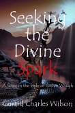 Seeking the Divine Spark (eBook, ePUB)