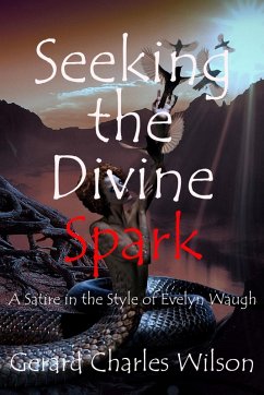 Cover Seeking the Divine Spark (eBook, ePUB)