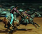 Eight Seconds: Black Rodeo Culture