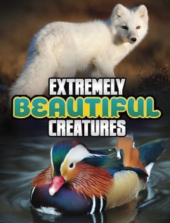 Extremely Beautiful Creatures - Peterson, Megan Cooley