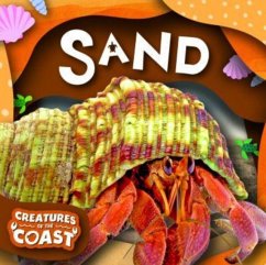 Sand - Leatherland, Noah (Booklife Publishing Ltd)