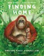 Finding Home - Bild 1