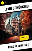Schloss Dornegge (eBook, ePUB)