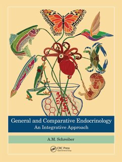 General and Comparative Endocrinology (eBook, PDF) - Schreiber, A. M.