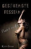 Gesprengte Fesseln (eBook, ePUB)