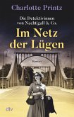 Im Netz der Lügen / Die Detektivinnen von Nachtigall & Co. Bd.2