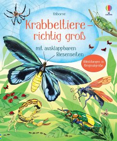 Krabbeltiere - richtig groß