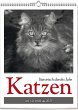 Katzen - Literarisch durchs Jahr 2025 - Bild 1