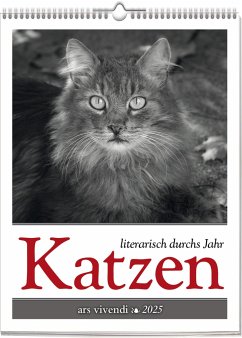 Katzen - Literarisch durchs Jahr 2025 - Ars, Vivendi