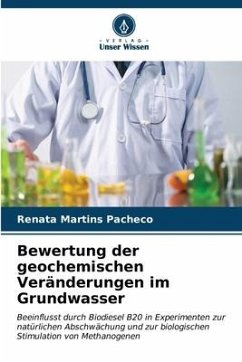 Bewertung der geochemischen Veränderungen im Grundwasser - Martins Pacheco, Renata