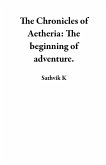 The Chronicles of Aetheria: The beginning of adventure. (eBook, ePUB)
