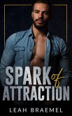 Spark of Attraction (eBook, ePUB) Spark of Attraction (eBook, ePUB)