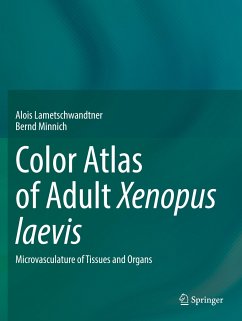 Color Atlas of Adult Xenopus laevis - Lametschwandtner, Alois;Minnich, Bernd